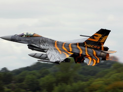 Pomarańcz, Srebny, Myśliwiec F-16, Paskowany